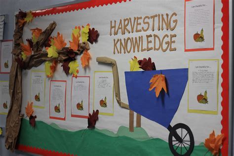 a bulletin board with leaves on it and a wheelbarrow in the center that says harvesting knowledge