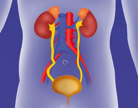 Urodynamic Testing | UCSF Benioff Children's Hospitals