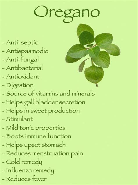 Health benefits of oregano www.tlcforwellbeing.com www.tlcforweightloss.eu #naturalhealthfoods # ...