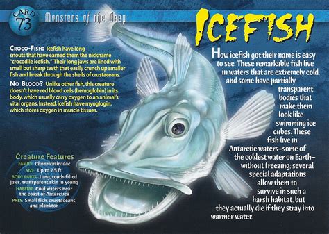 Icefish | Weird n' Wild Creatures Wiki | FANDOM powered by Wikia