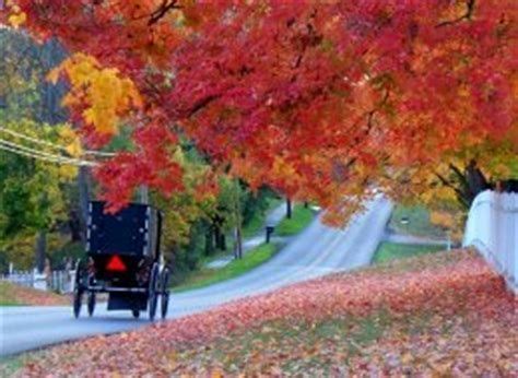 Image result for Amish Autumn Scenes | Amish country ohio, Amish country, Scenery