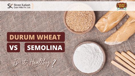 Durum Wheat vs Semolina: What is the Difference, and Is it healthy? | by Tech Blogger | Medium