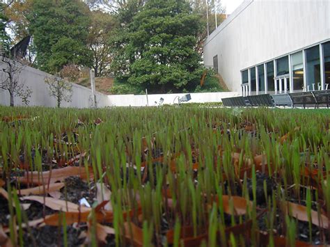 Going green...with manure? | National Museum of American History