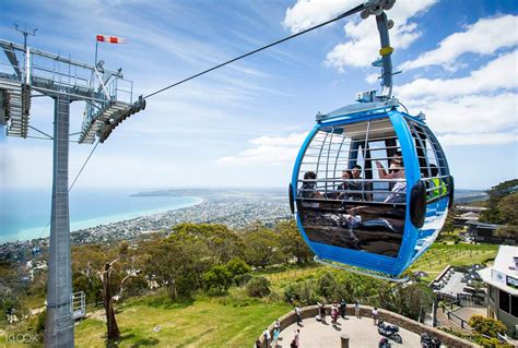 Arthurs Seat Eagle Gondola Ticket in Melbourne - Klook Australia