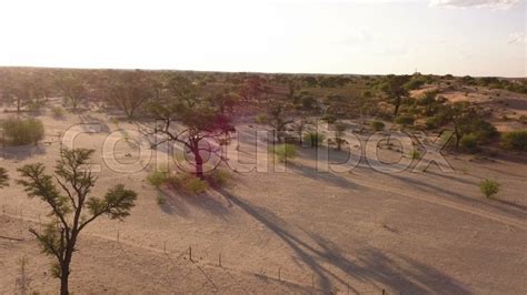 Aerial of view over a dry savannah ... | Stock video | Colourbox