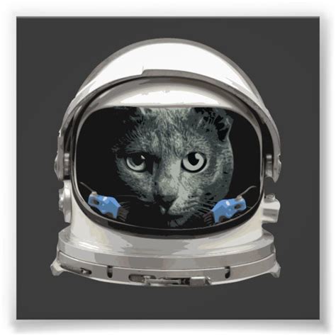 Space Helmet Astronaut Cat Photo Print | Zazzle.com