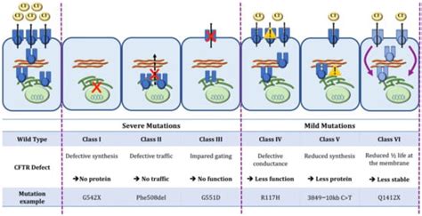 Cells | Free Full-Text | CFTR Modulators in People with Cystic Fibrosis: Real-World Evidence in ...