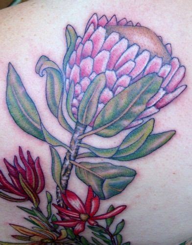 10 Tattoo Inspiration: Australian Flora & Fauna ideas | australian flora, botanical tattoo ...