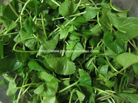 Priya's Virundhu....: Keerai Varieties/Keerai Vagaigal/Greens in Tamil ...