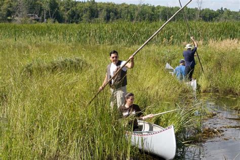 Eat it!: Minnesota’s state grain — wild rice! | | Wild rice, Minnesota travel, Grains