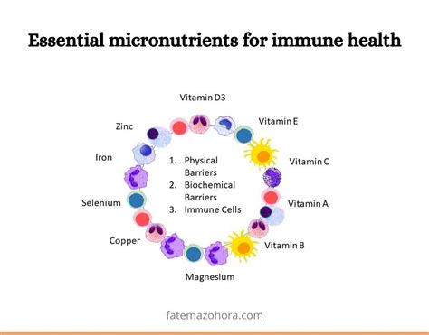 How to protect the immune system: The necessary vitamins and minerals ...