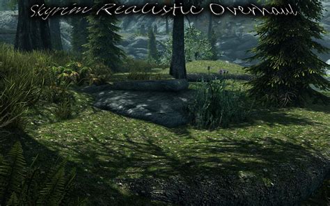 Skyrim Realistic Overhaul 1.8. Update file - ModDB