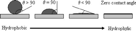 20. Hydrophobic and hydrophilic water contact angle behavior ...