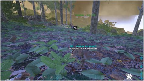 Ark Troodon (Abilities, Taming, Food, Saddle, Breeding, Drops & Location) - ProGameTalk