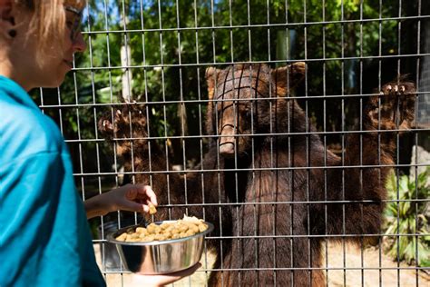 Texas Zoo brings life to community, connects visitors with wildlife ...