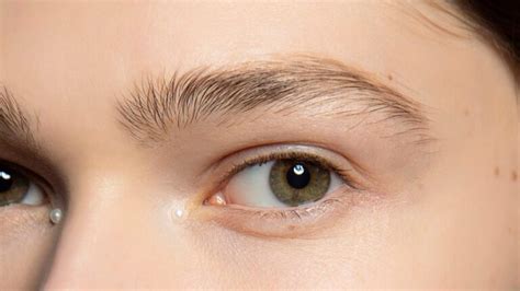 Causes And Prevention Of Eyebrow Hair Loss| Both Men & Women