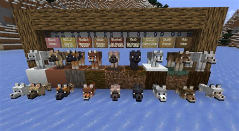 Today's snapshot (24w10a) has wolf variants. What do you think of them? : r/Minecraft