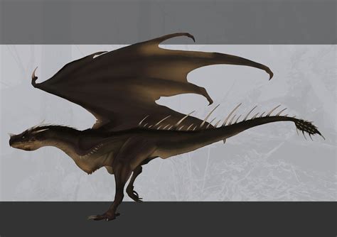 ArtStation - Wyvern design