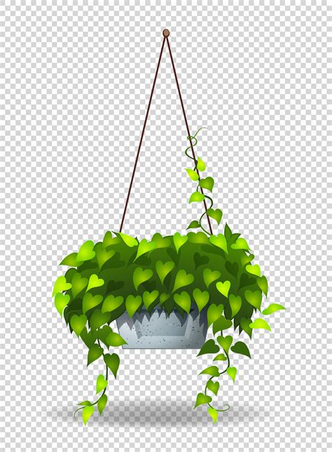 Potted plant hanging on wall 608010 Vector Art at Vecteezy