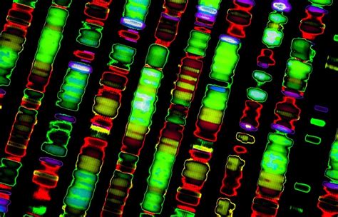 Human genome sequenced in its entirety for the first time