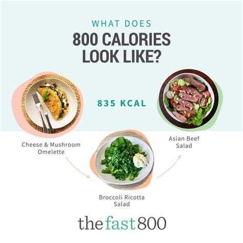 How To Do The 5:2 Diet - The Fast 800