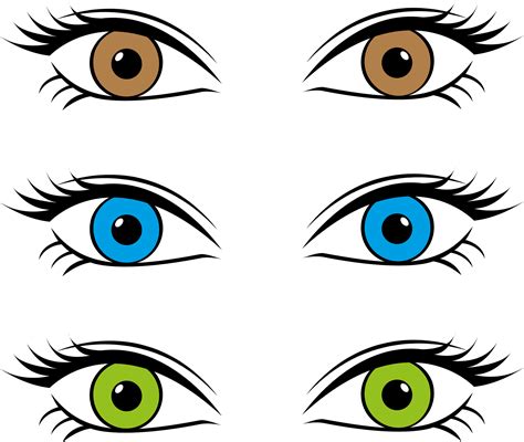 Female Eyes Png Clip Art Best Web Clipart | Sexiz Pix