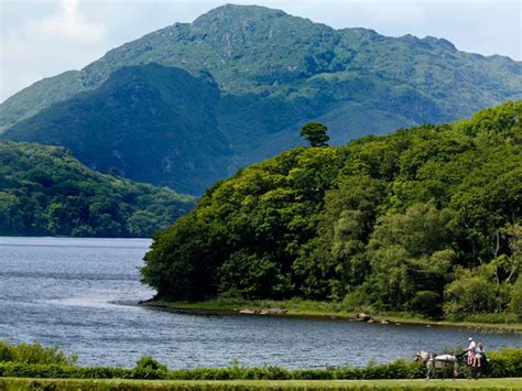 Muckross Lake - Killarney Bike Rental