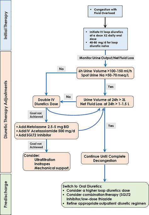 Frontiers | Edema formation in congestive heart failure and the ...