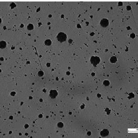 Microstructure of nodular cast iron in the test casting - spherical ...