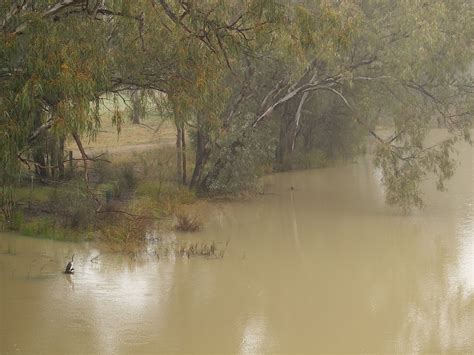 Nyngan Floods