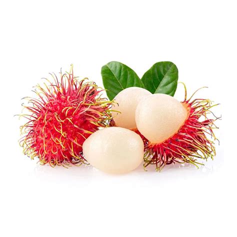 Rambutan