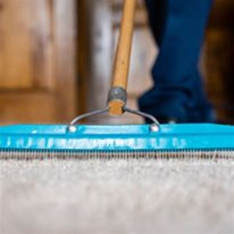 Benefits of Eco Green Carpet Cleaning - Northside Floor Care