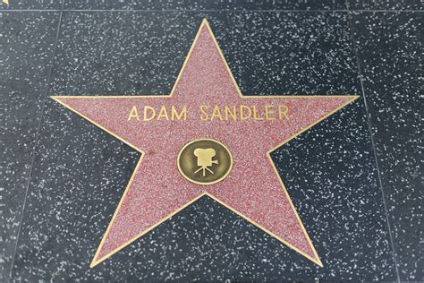 Best Adam Sandler Movies: Top 5 Flicks Most Recommended By Experts