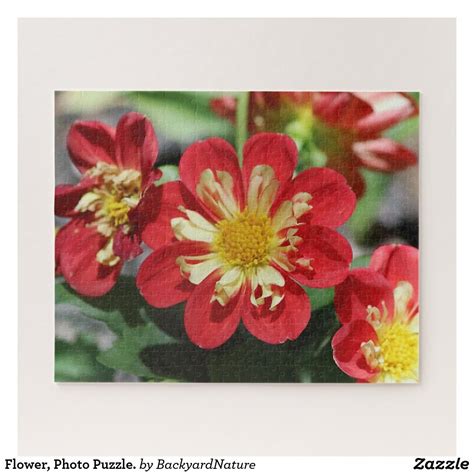 Flower, Photo Puzzle. Jigsaw Puzzle | Flower photos, Photo puzzle, Jigsaw puzzles