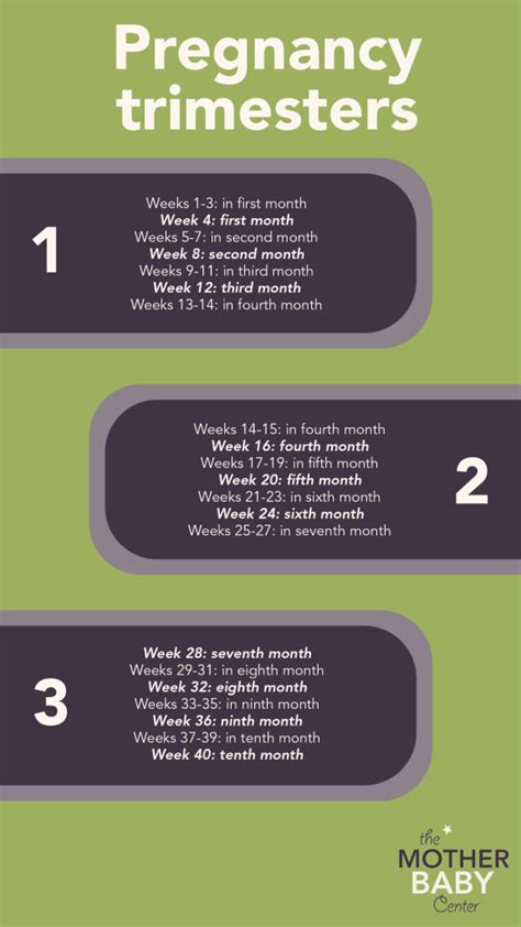 Early Pregnancy Symptoms Timeline