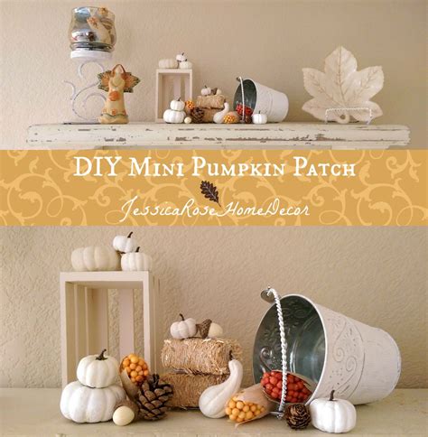 JessicaRose Home Decor: DIY Mini-Pumpkin Patch