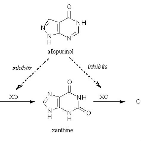 Pharmacological action of allopurinol. | Download Scientific Diagram