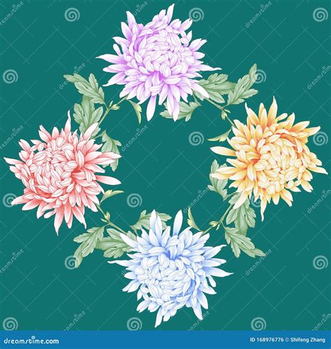 Illustration of Chrysanthemum Flowers Stock Photo - Illustration of greeting, decoration: 168976776