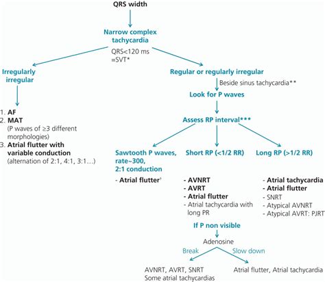 Approach To A Case Of Narrow Complex Tachycardia - vrogue.co