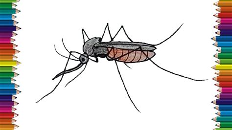 How To Draw A Mosquito Really Easy Drawing Tutorial Drawing | Images and Photos finder