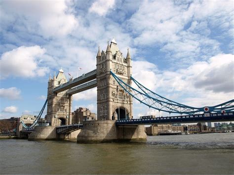 Recovering River Thames London Now Home to Sharks and Seals | Earth.Org