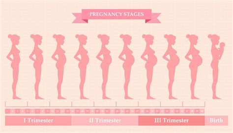 The Pregnancy Journey - bonprix The blog