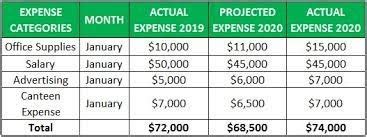 LINE ITEM BUDGET: Benefits and Examples