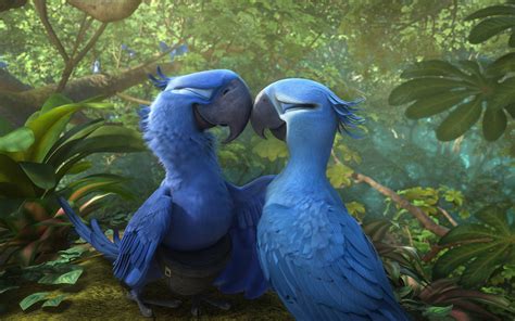 Ararinha-azul que inspirou "Rio" está agora oficialmente extinta na natureza, segundo estudo