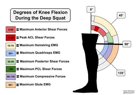 Pin on Balance PT, Health & Wellbeing