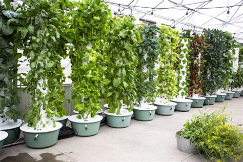 Tower Gardens at Hamilton Farms Greenhouse – Moulin Events & Meetings