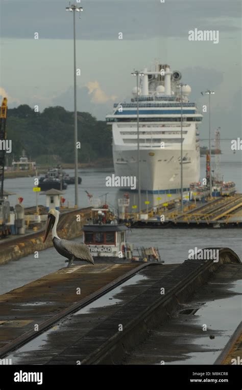 Coral Princess cruise ship passes through the Panama Canal Stock Photo ...