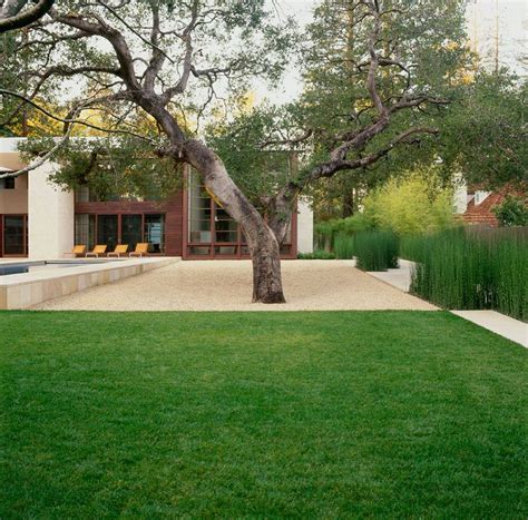 stabilized decomposed granite patio - Google Search | Decomposed granite patio, Hardscape ...