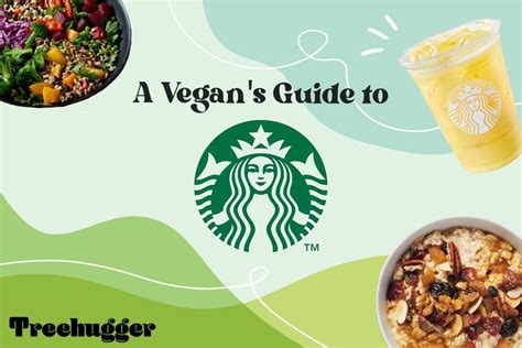 Vegan Guide to Starbucks: 2022 Menu Options and Swaps