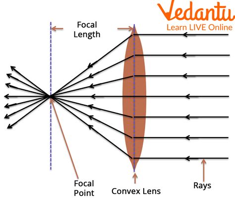 Types of Lenses in Physics and the Process of Making Lenses